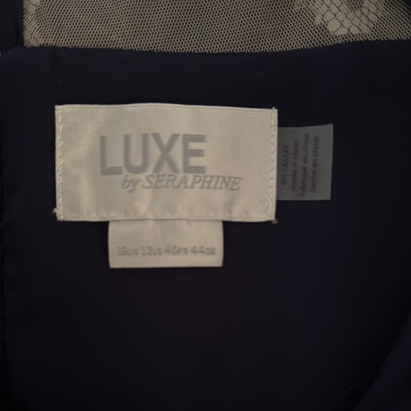 Elegant Navy Lace Dress - Picture 3 of 5